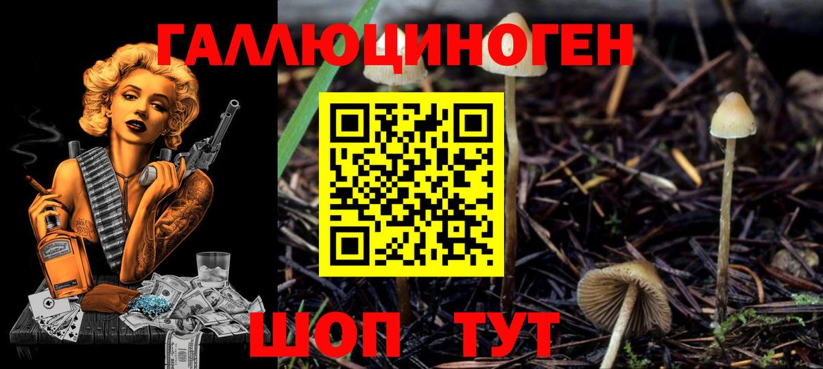 Псилоцибиновые грибы MAGIC MUSHROOMS  Галлюциногенные грибы Psilocybe  Новозыбков  Вход с VPN 