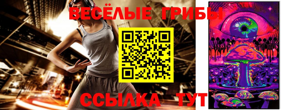 Галлюциногенные грибы ЛСД Новозыбков