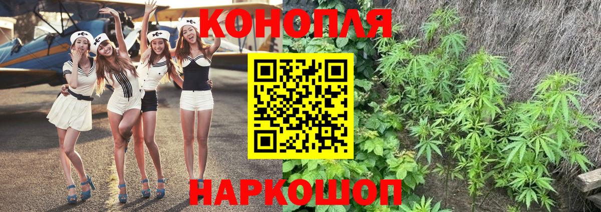 Бошки марихуана гибрид  Вход с VPN  МАРИХУАНА White Widow  Новозыбков  Бошки Шишки индика 